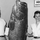 Photo: International Game Fish Association via Getty Images